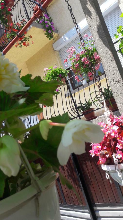 Guest Rooms Ider 萨帕雷瓦巴尼亚 外观 照片